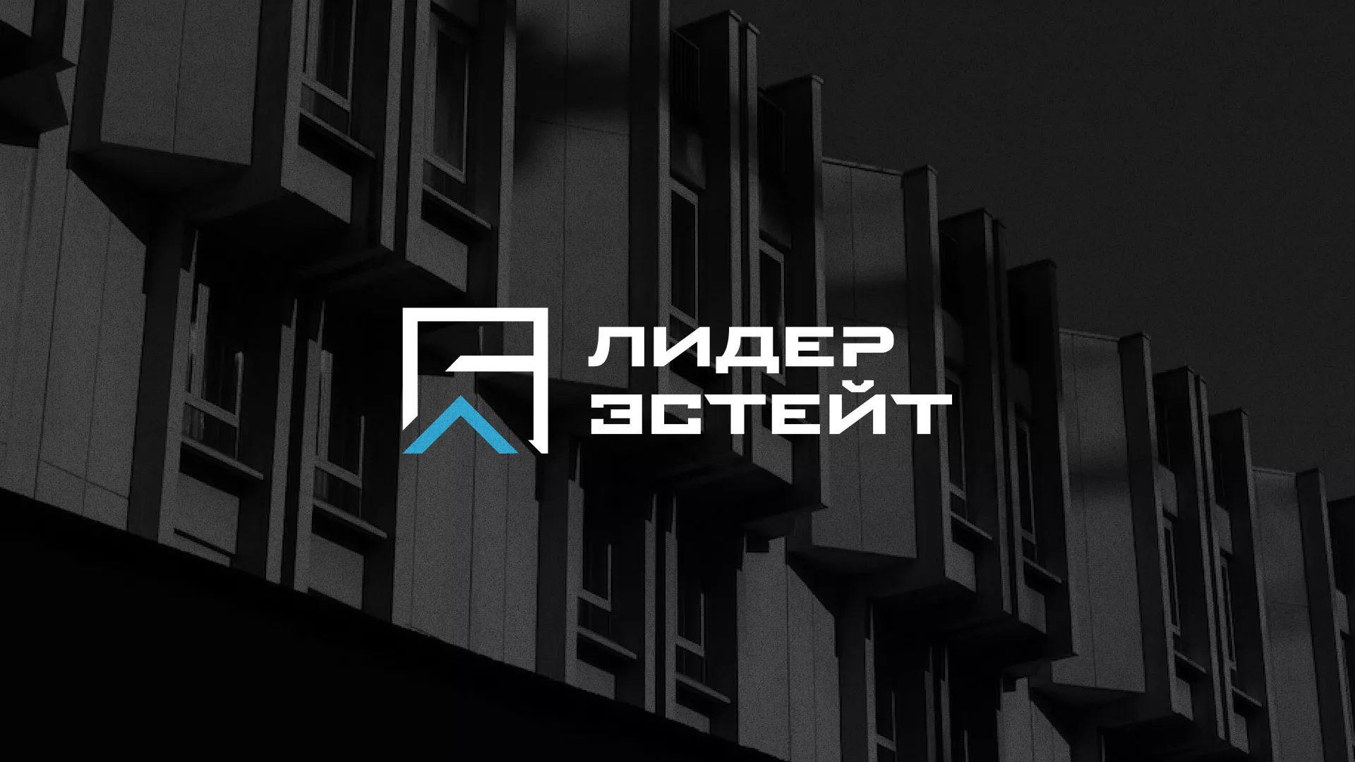 Разработка логотипа агентства недвижимости «Лидер Эстейт» в Шахтёрске